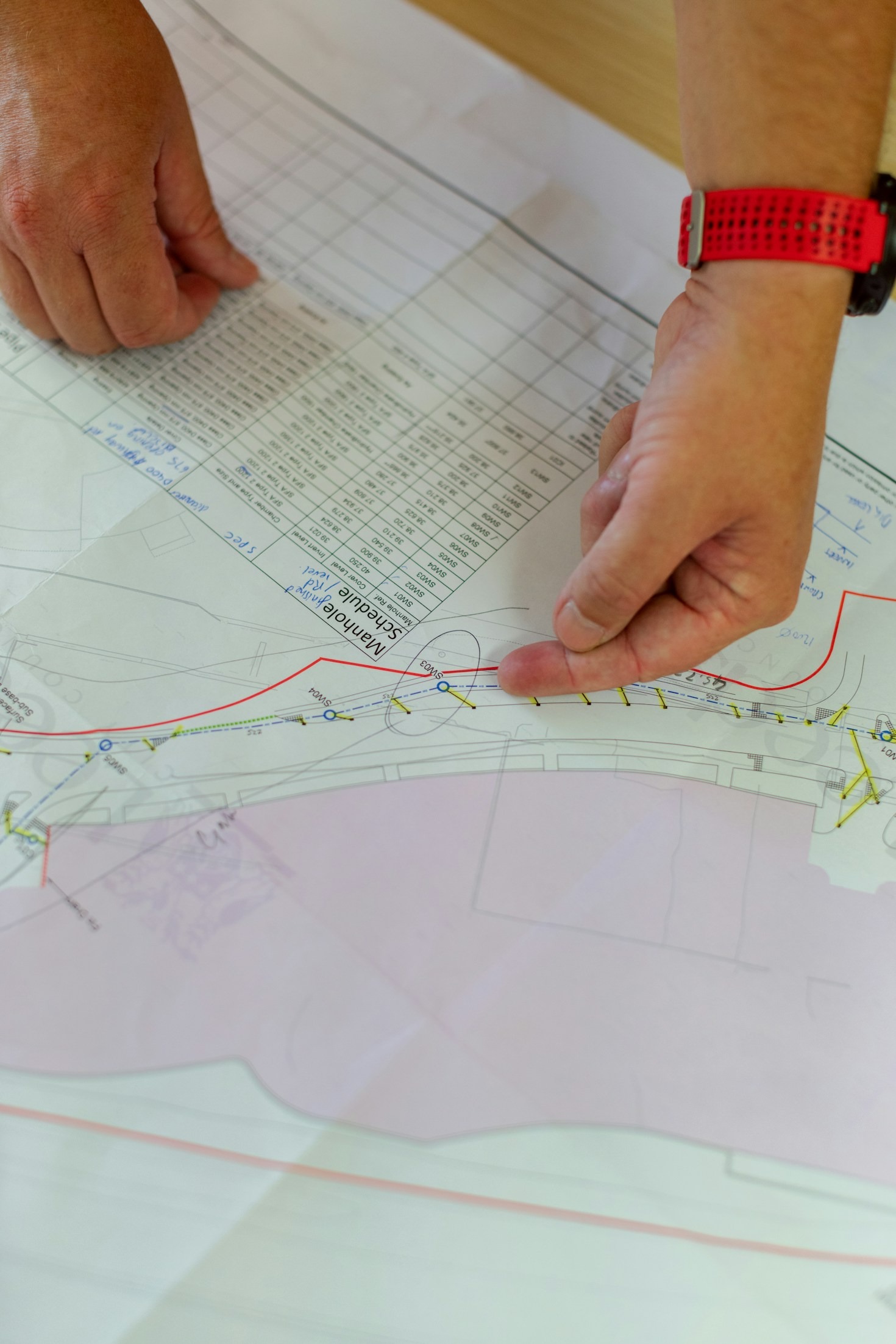 Il nostro piano per valorizzare il territorio e le tradizioni di Torgiano